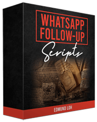 Whatsapp Follow-Up Scripts